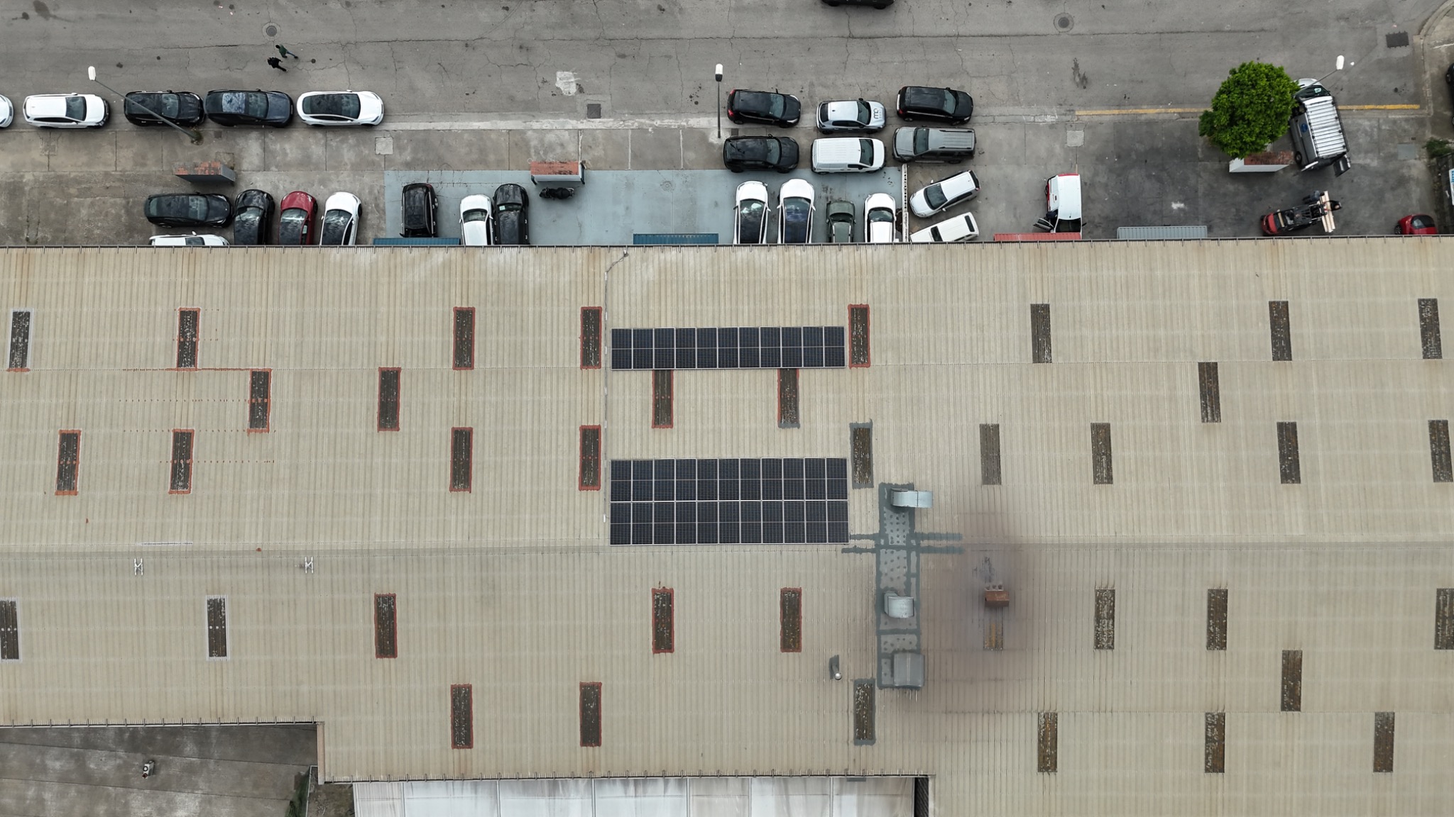 Paneles solares vista general